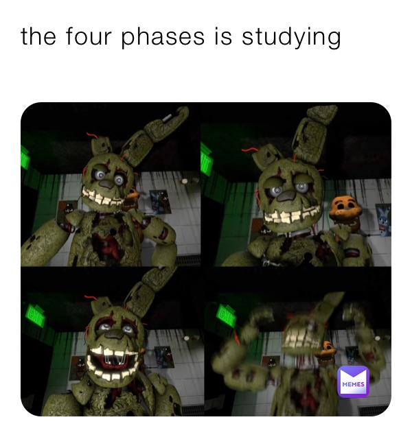 the four phases is studying
