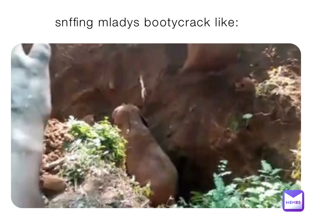 snffing mladys bootycrack like: