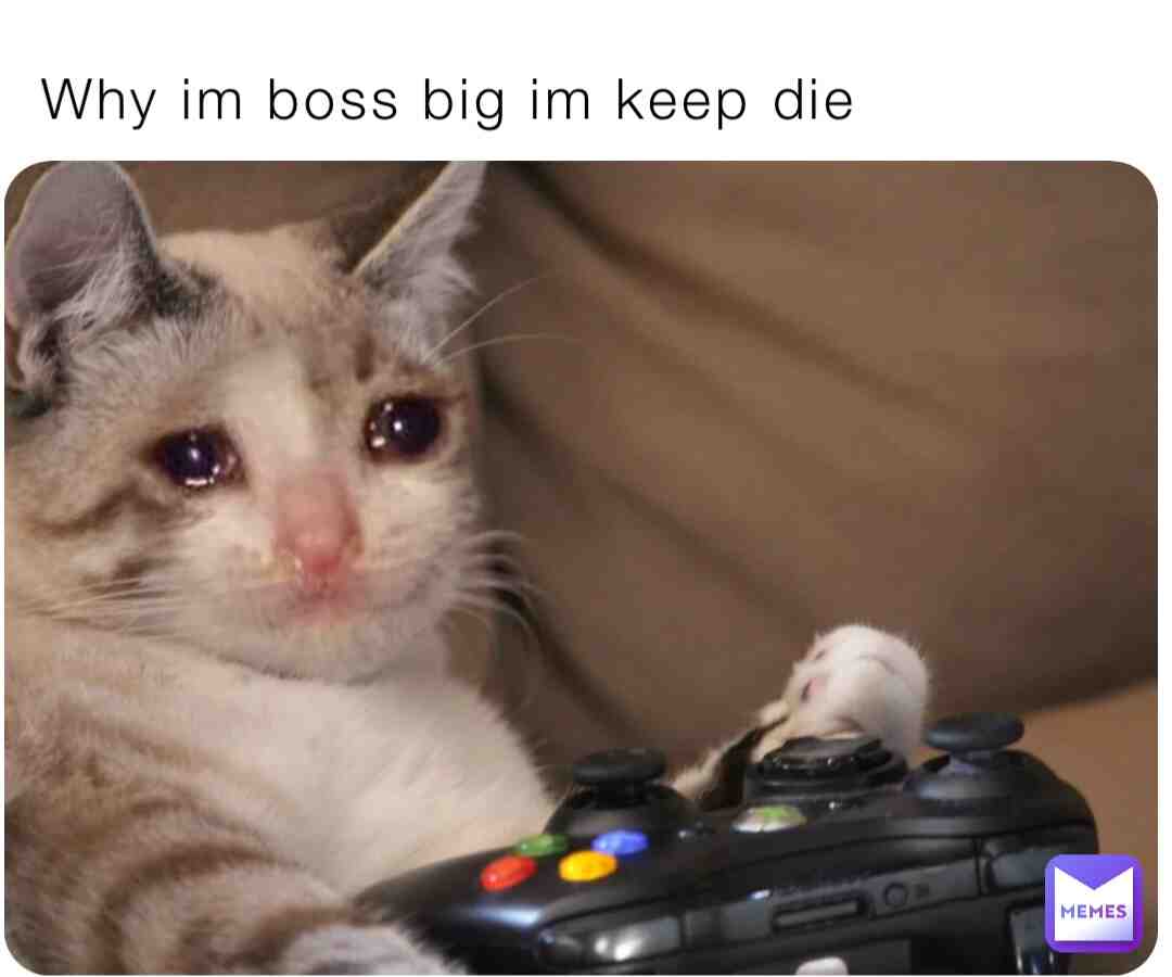 Meme shared by @Stasiu2003