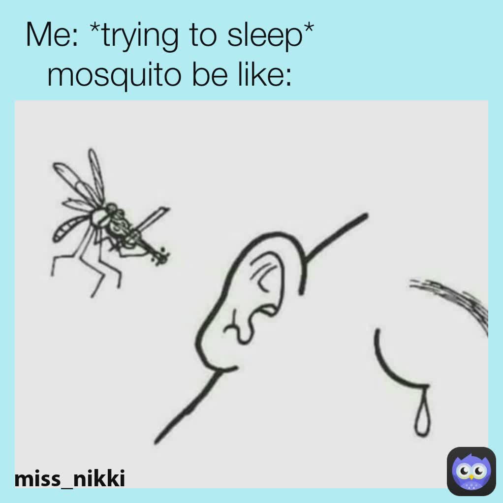 miss_nikki
 Me: *trying to sleep*
mosquito be like: