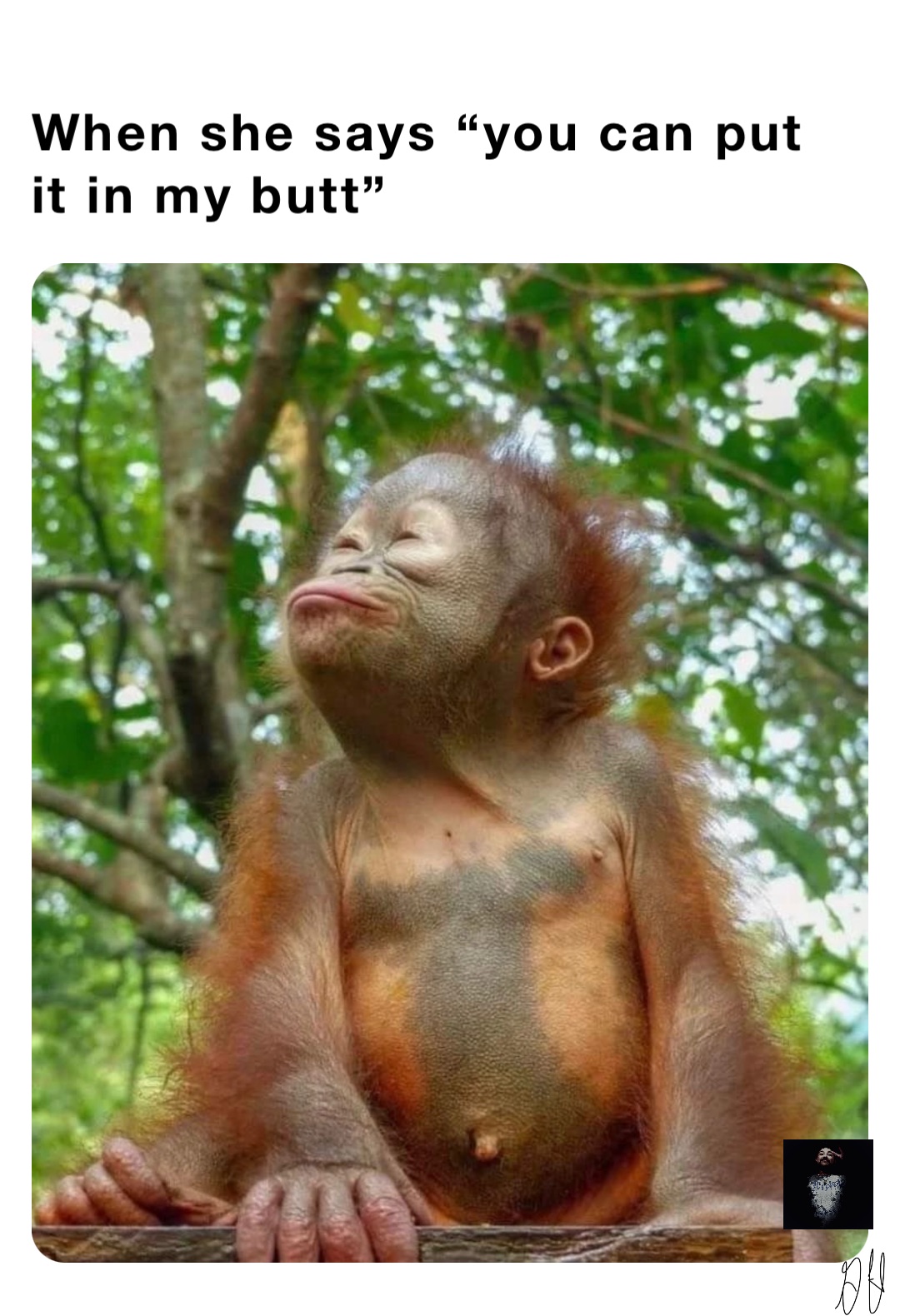 When she says “you can put it in my butt”