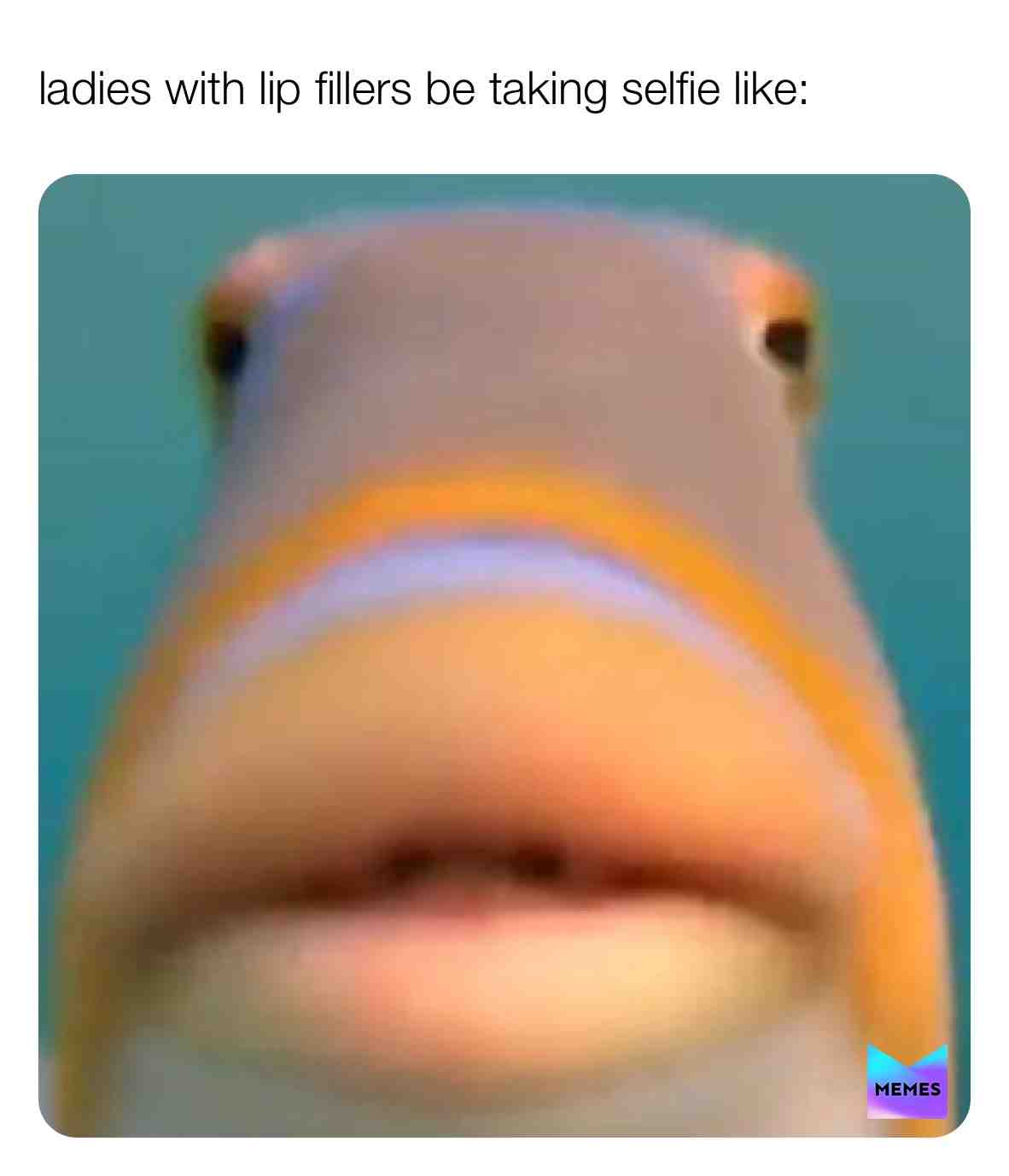 🥴🥴🥴😂