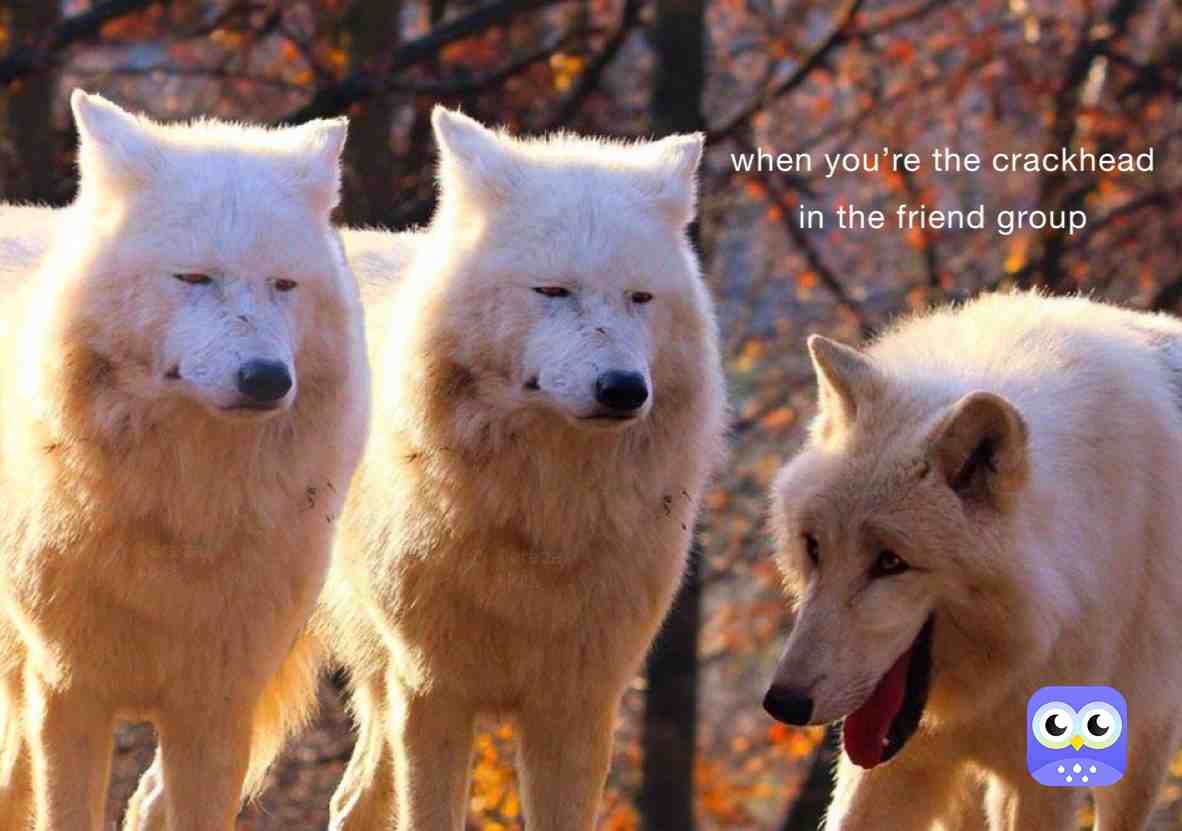 #funny #humor #creative #funnymemes #cute #adorable #deadinside #oop #positivevibes