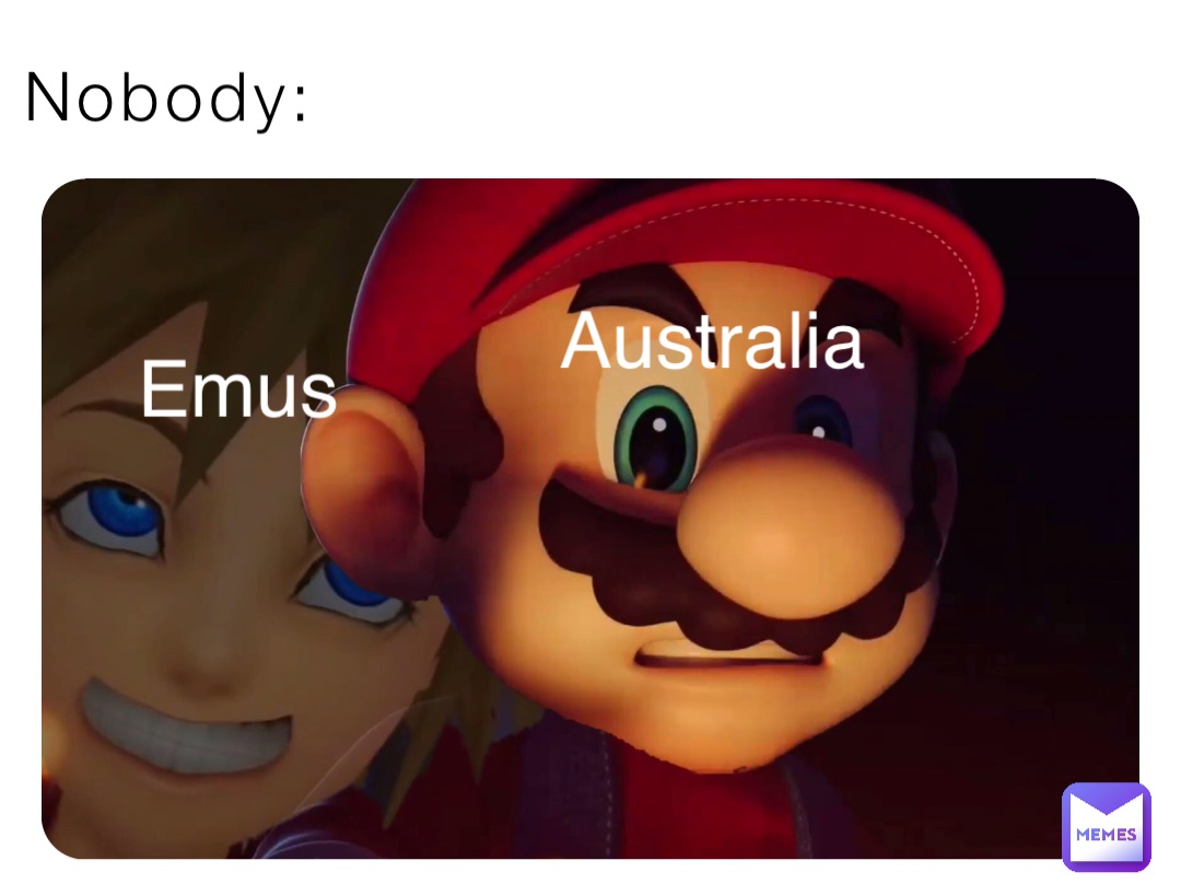 nobody-australia-emus-thatoneguyaddictedtomemes-memes