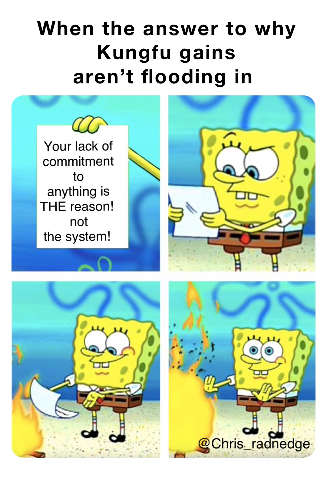 When the answer to why Kungfu gains 
aren’t flooding in Your lack of 
commitment 
to 
anything is 
THE reason!
not 
the system!
