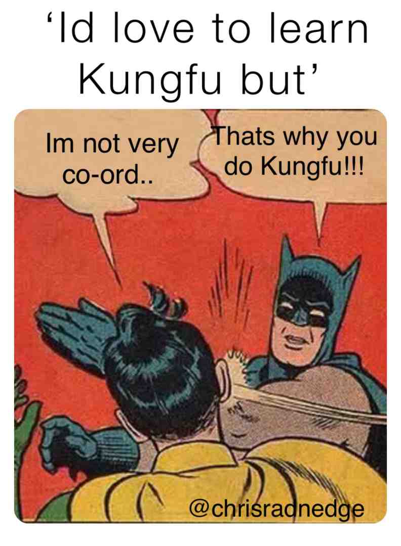 Meme shared by @kungfu.mastery