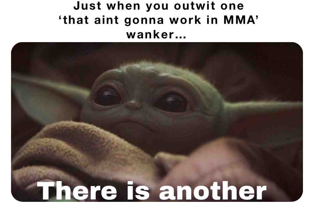 Meme shared by @kungfu.mastery
