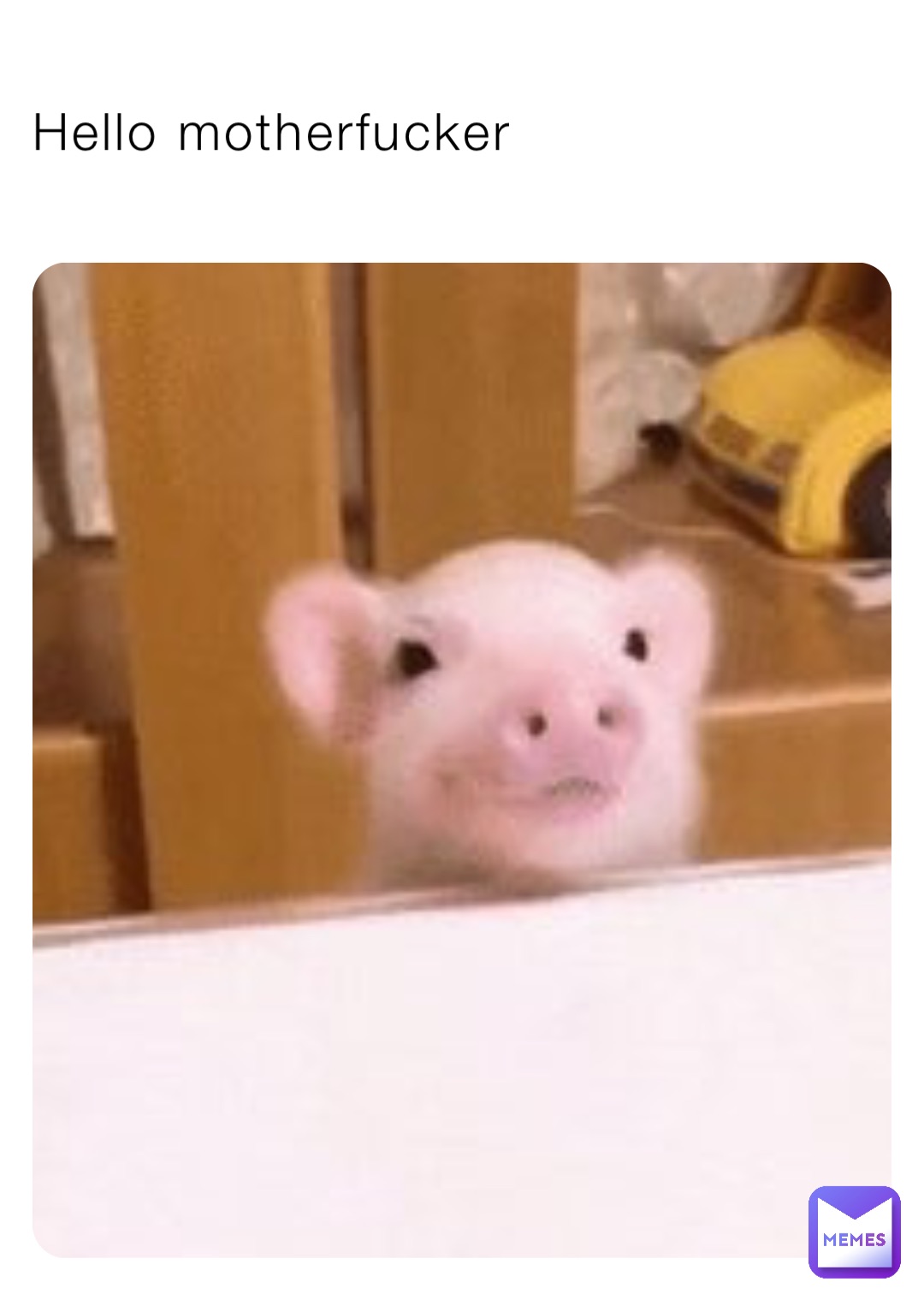 Hello motherfucker