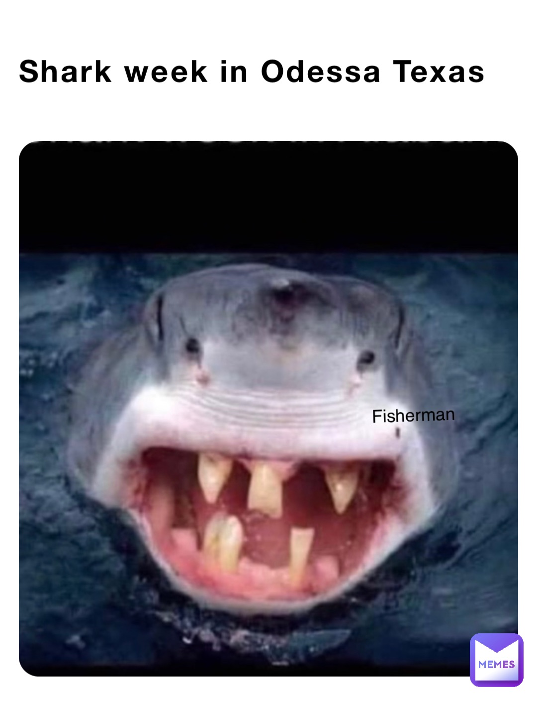 Shark week in Odessa Texas