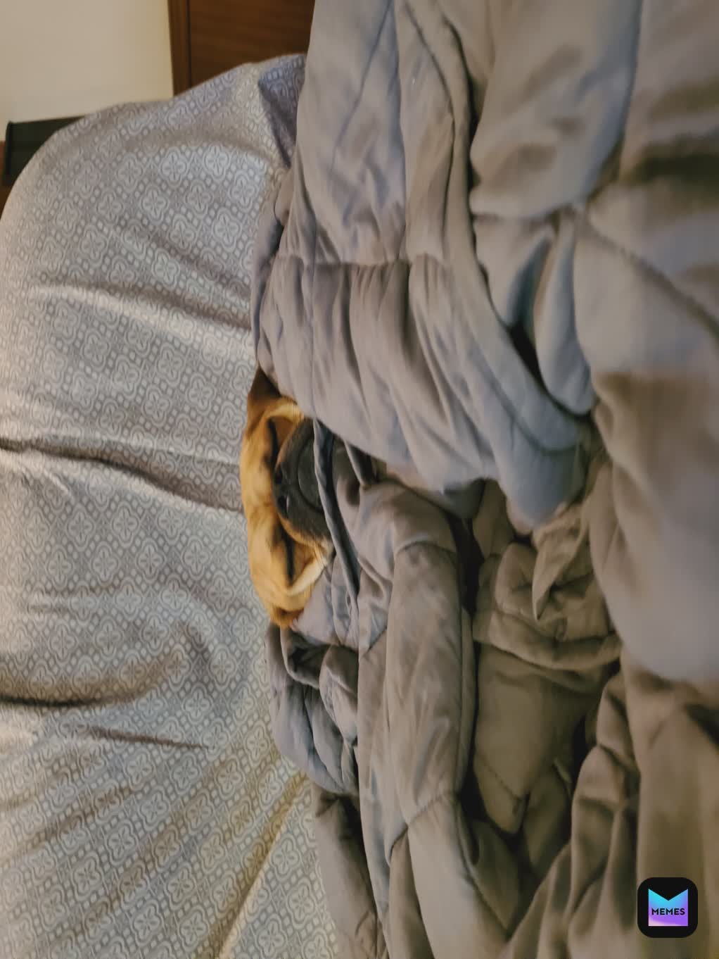 Meme by MeMe_MaStEr.CoM