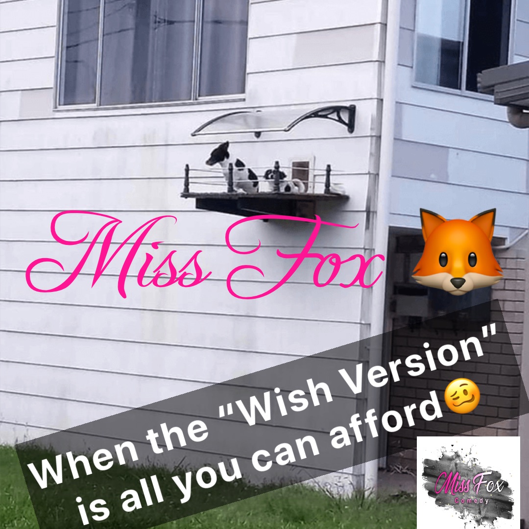 When the “Wish Version” is all you can afford🥴 Miss Fox 🦊