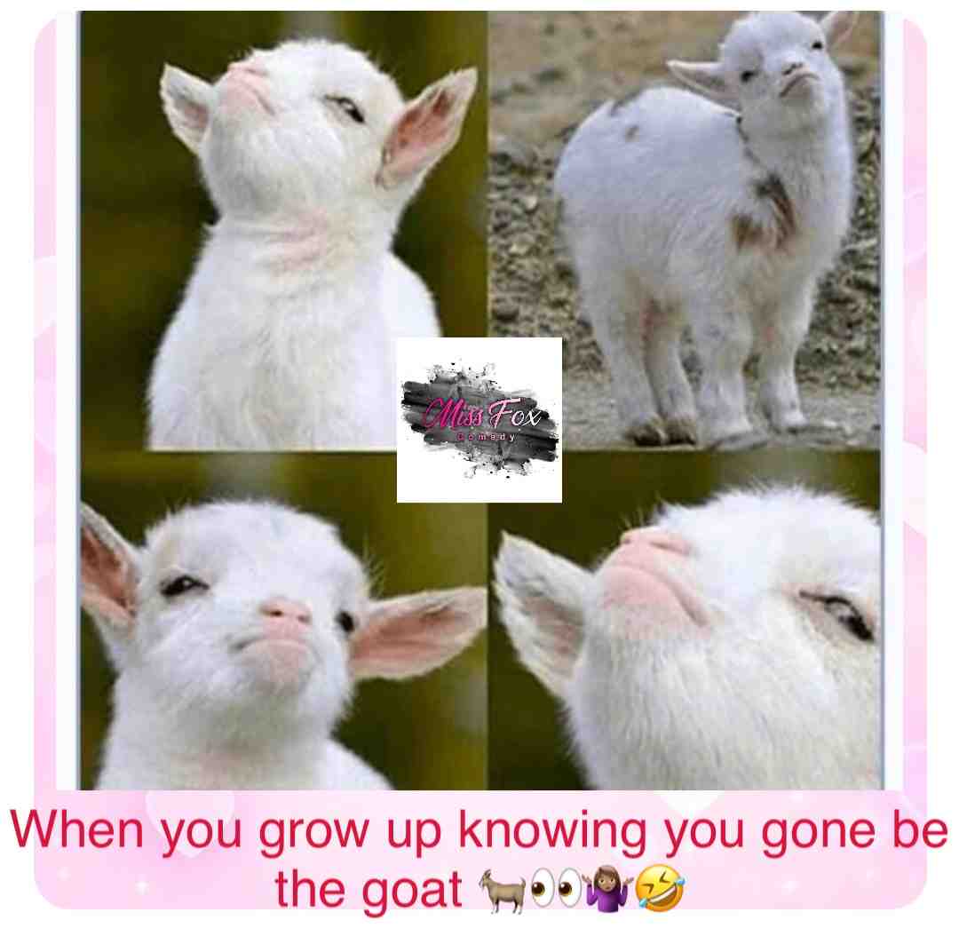 #comedymemes #funnymemes # #chessnotcheckers