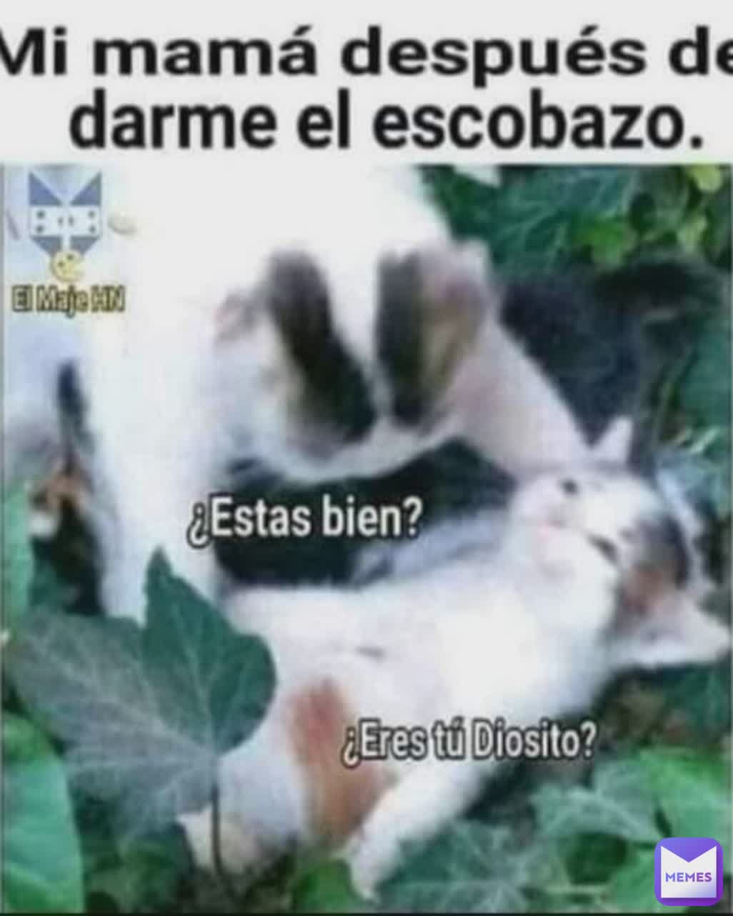 Post by @Stefanysara | Memes