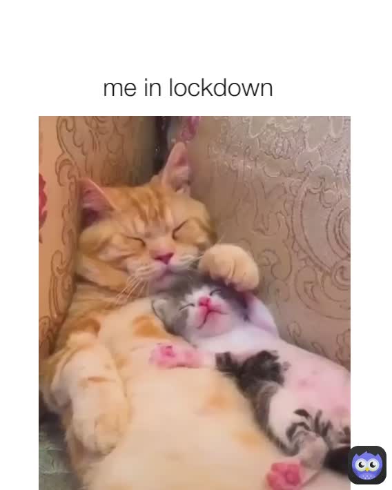 me in lockdown