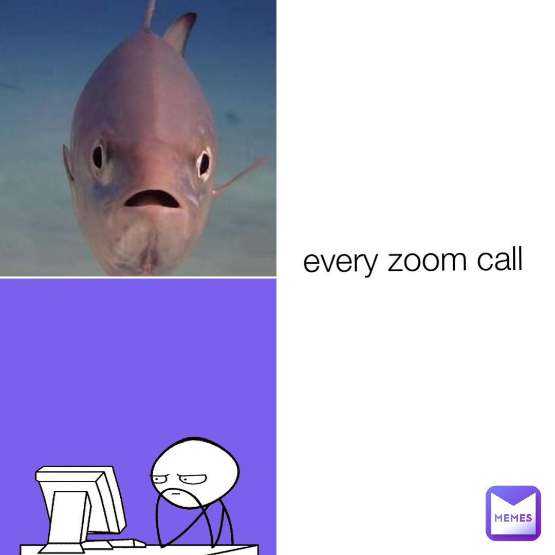 every zoom call