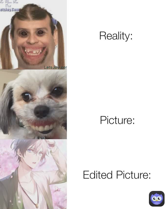 Edited Picture: Picture: Reality: