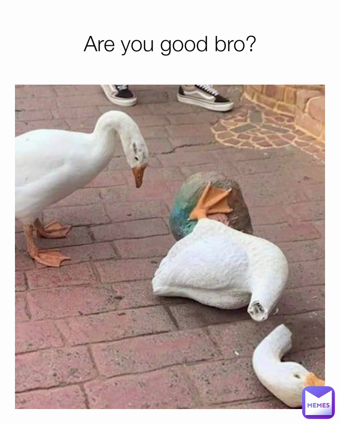 Are you good bro?
