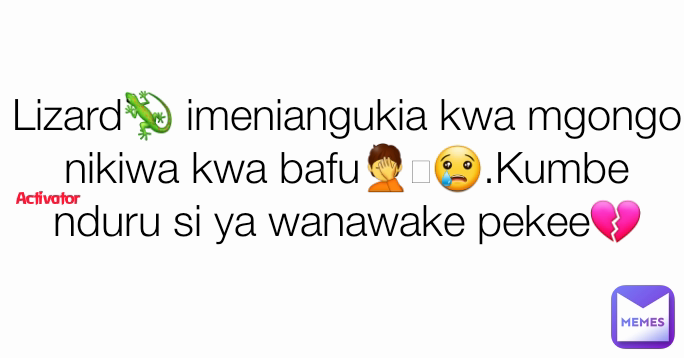 Activator Lizard🦎 imeniangukia kwa mgongo nikiwa kwa bafu🤦🥹😢.Kumbe nduru si ya wanawake pekee💔