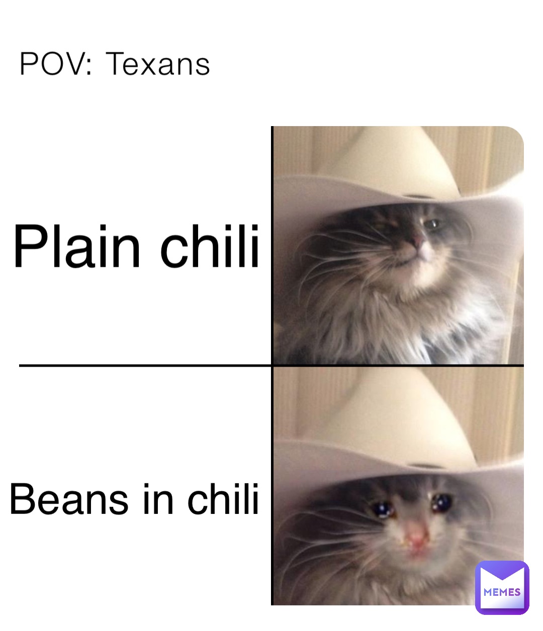 Meme by pineapple_meme15