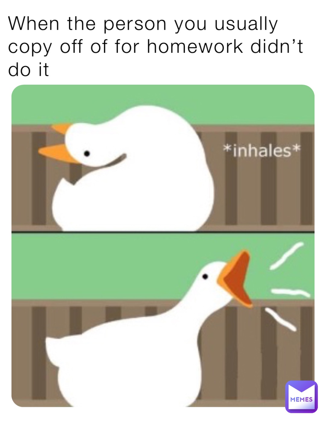 Meme by pineapple_meme15