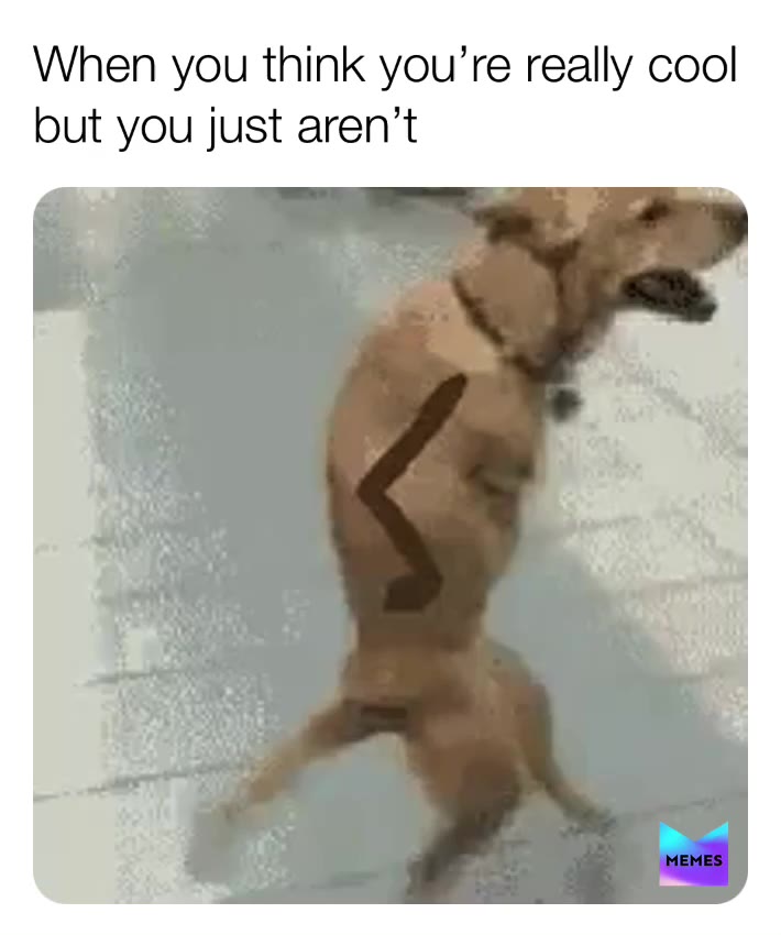 It be like that sometimes
#cool #funny #dog