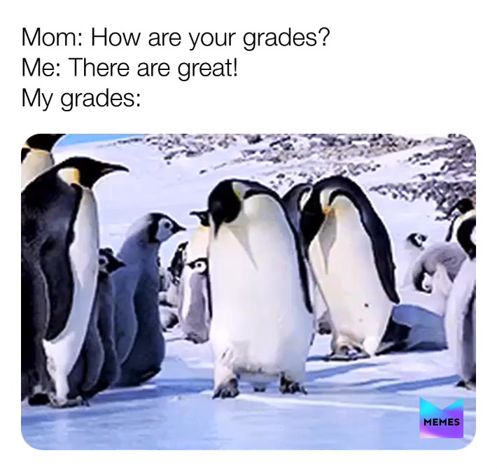 Sorry I haven\u2019t been active for the past couple days things have got busy recently.
#grades #school #slip
