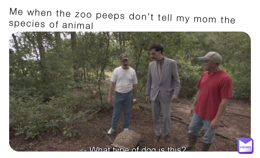 Me when the zoo peeps don’t tell my mom the species of animal