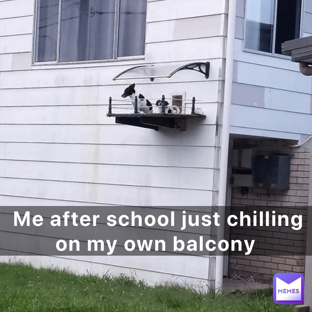 Meme by dragonslayer2012