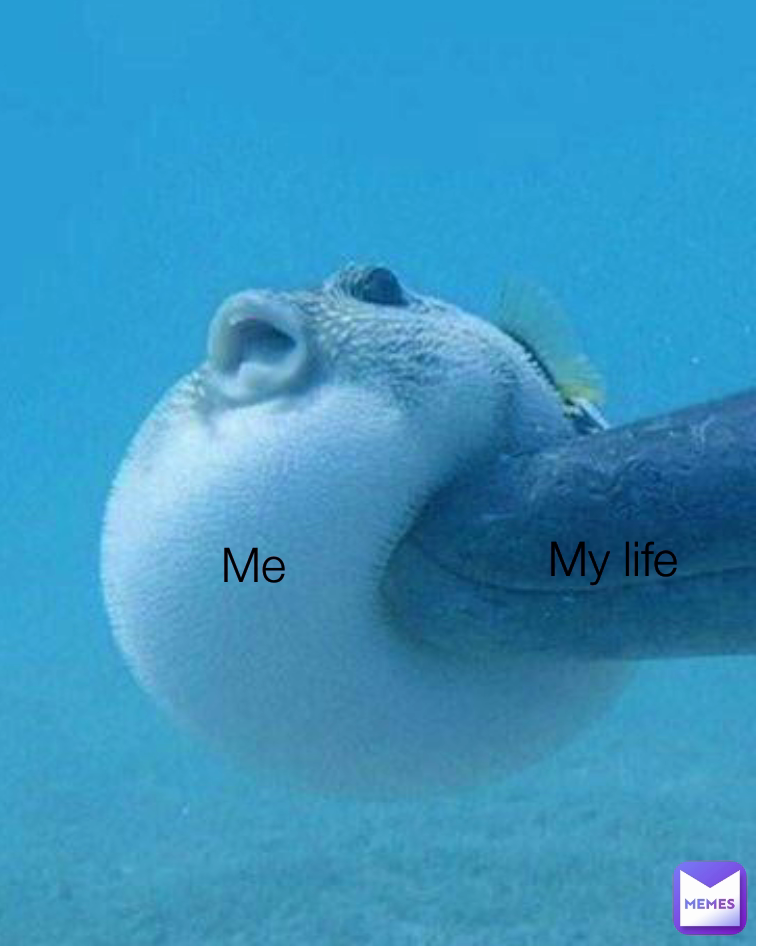 Type Text Me My life