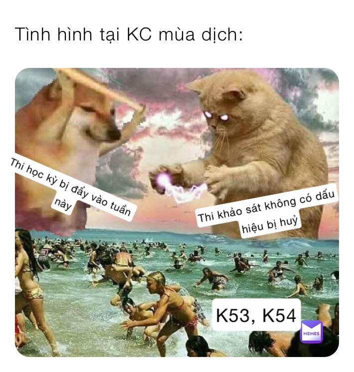 Top 10 cú lừa thế kỷ Top 1: | @Spike_Brado | Memes