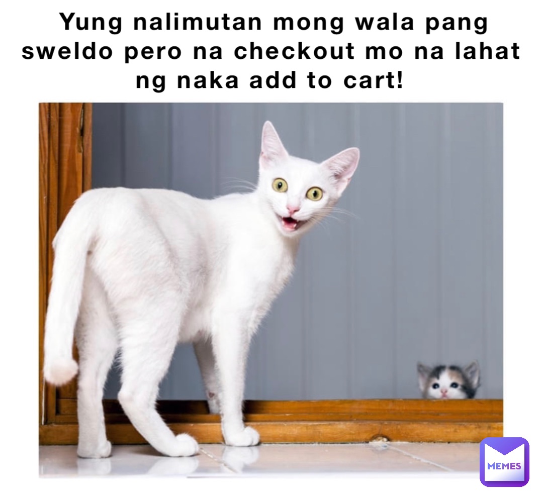 Yung nalimutan mong wala pang sweldo pero na checkout mo na lahat ng naka add to cart! Double tap to edit