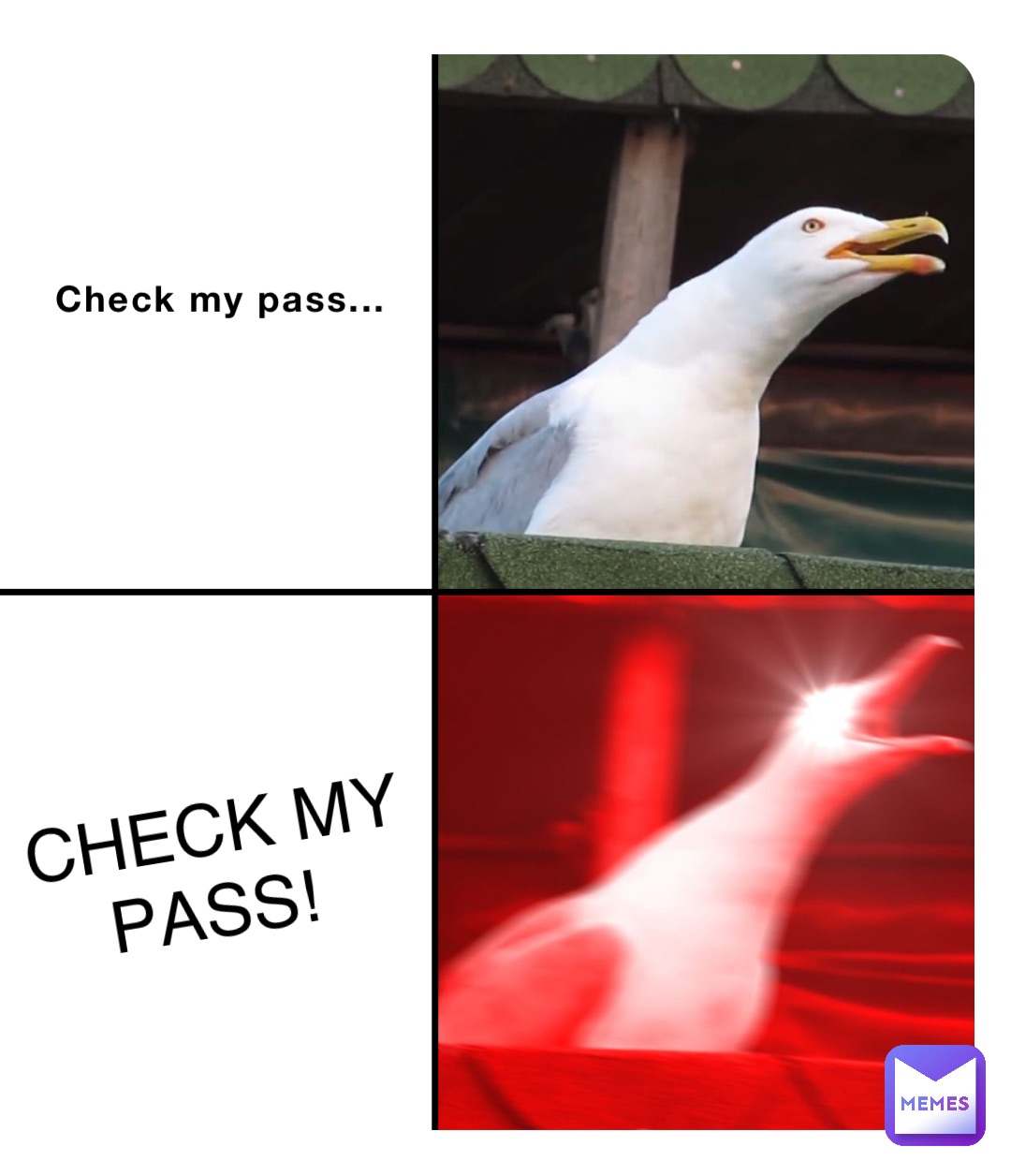 Check my pass... CHECK MY PASS!