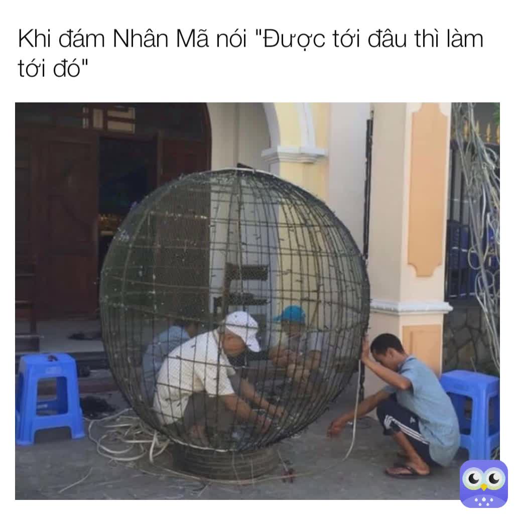 Meme by hoang_long_tv