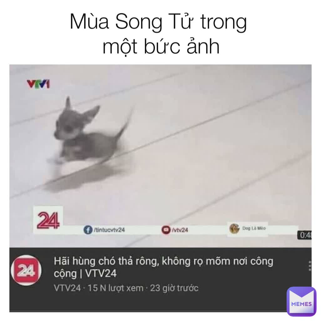 Mùa Song Tử trong 
một bức ảnh