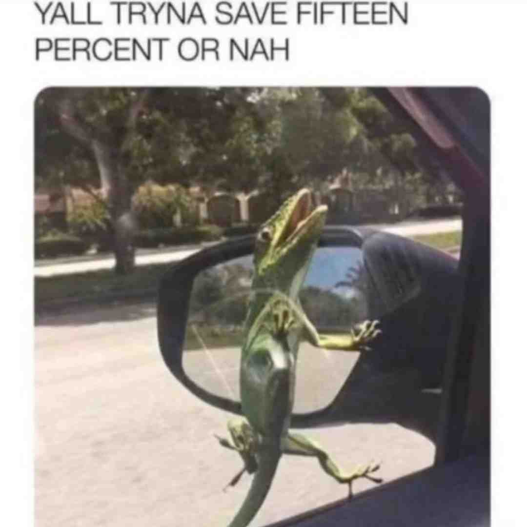 Meme shared by @Tricky_Ricky05