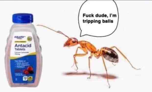 Meme shared by @Tricky_Ricky05