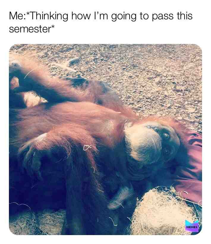 Meme preview