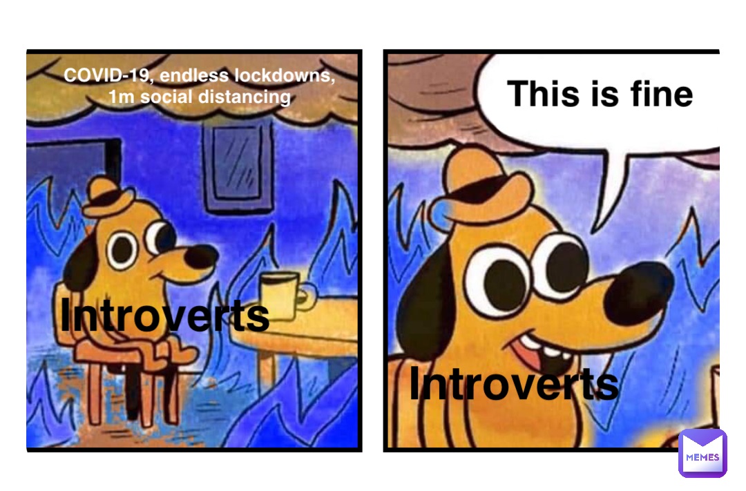 COVID-19, endless lockdowns, 1m social distancing Introverts This is fine Introverts