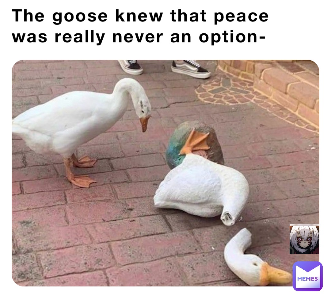 The goose knew that peace was really never an option-