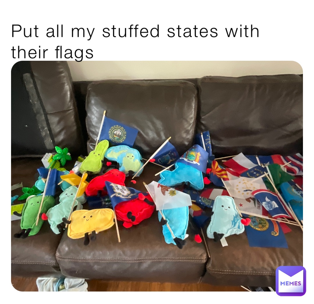 Put all my stuffed states with their flags