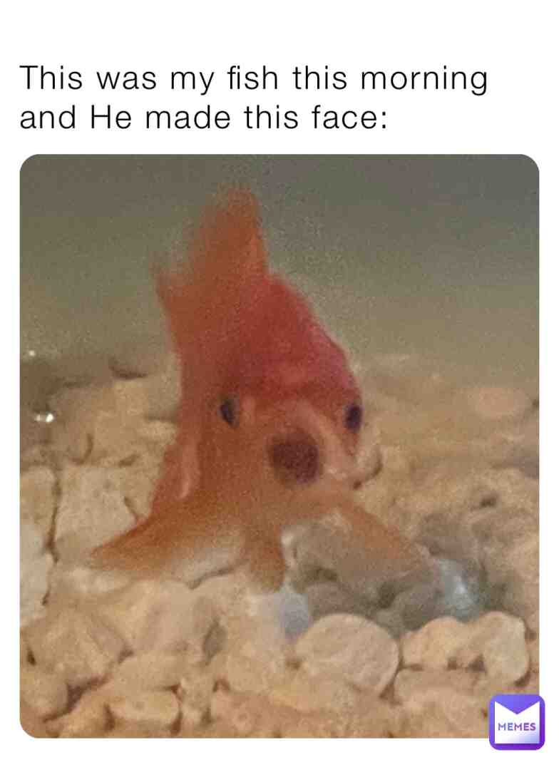 #fish #fishlife Cursed fish image