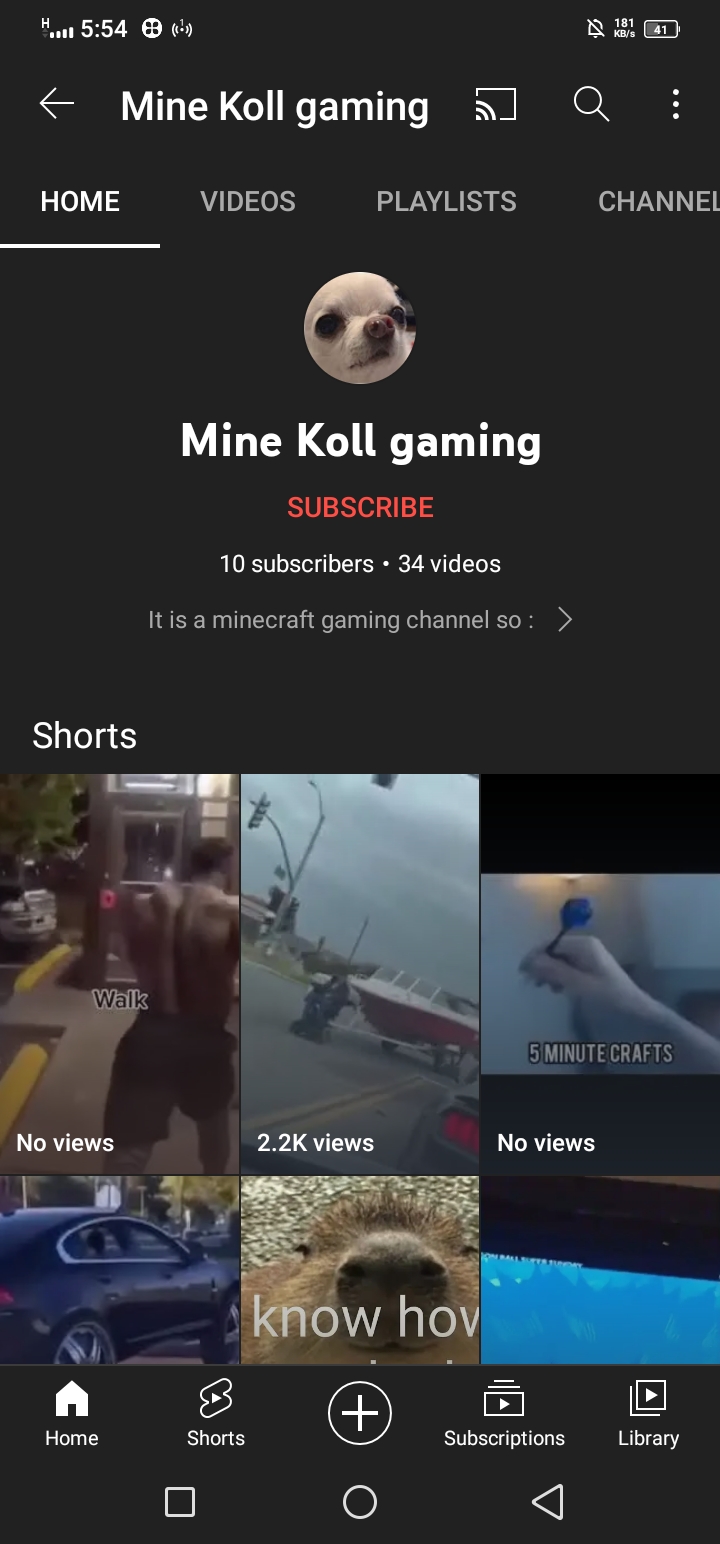 Meme by MinekolGaming