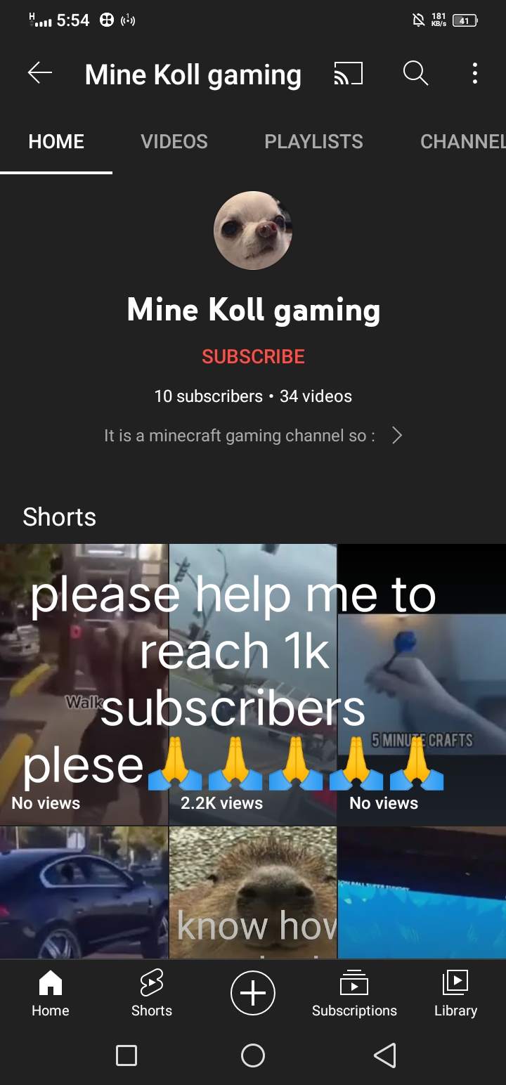 Meme by MinekolGaming