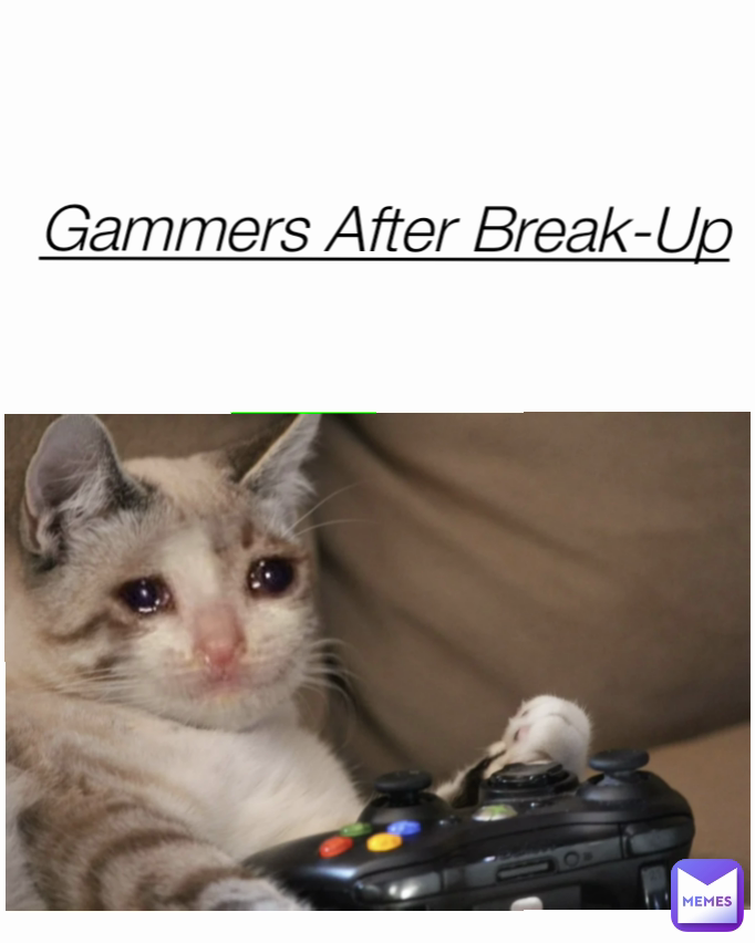 Meme by MinekolGaming