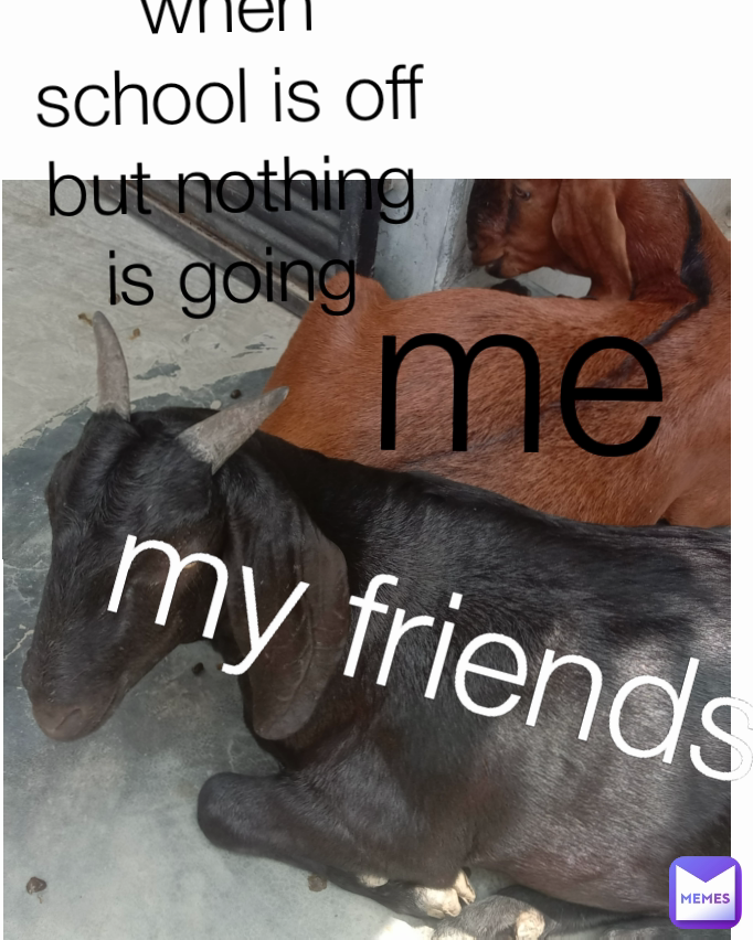 Meme by MinekolGaming