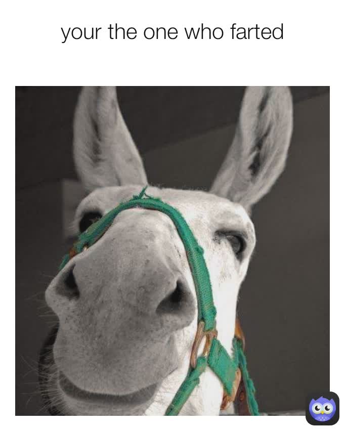 your the one who farted
