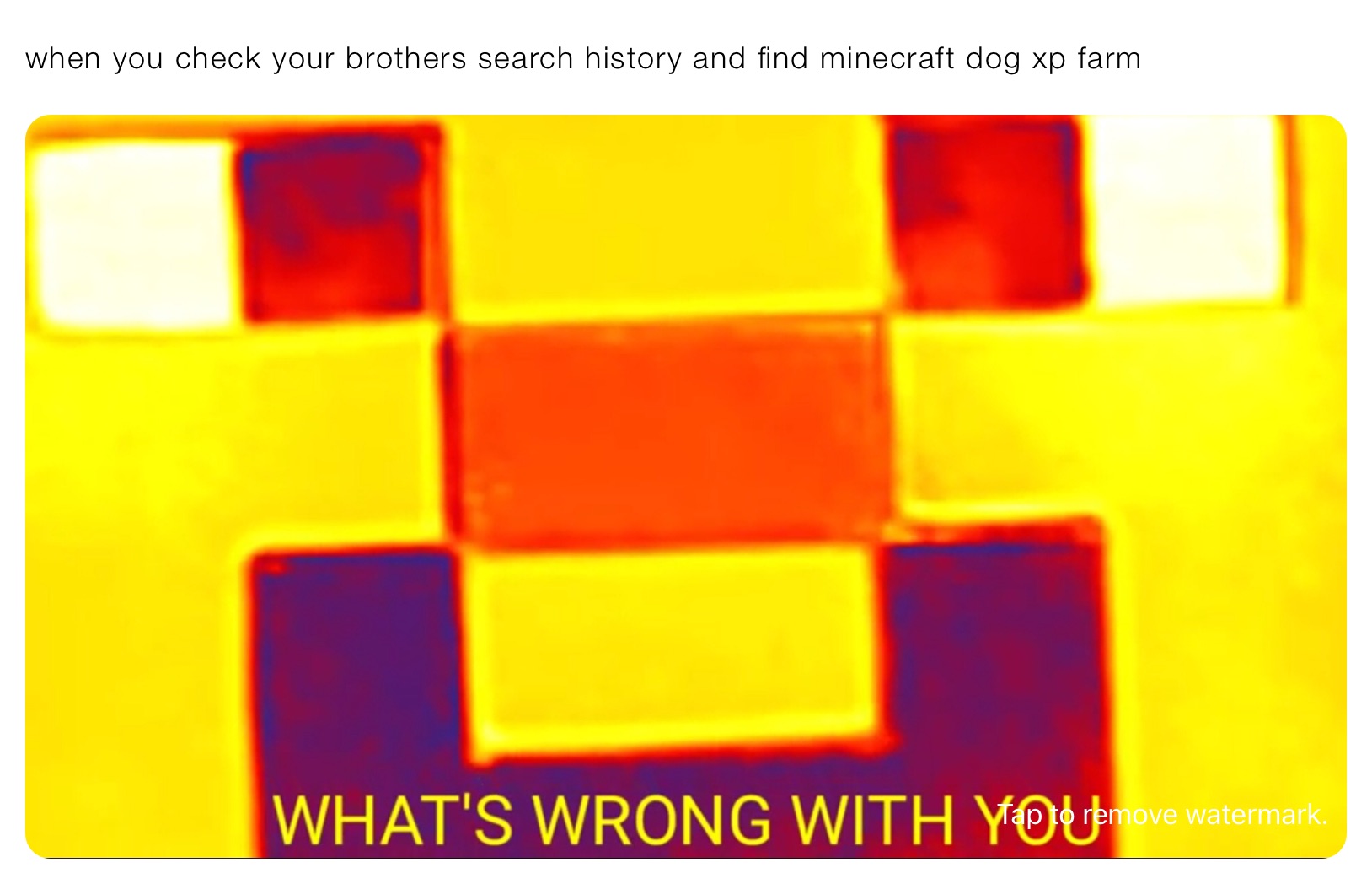 when you check your brothers search history and find minecraft dog xp farm