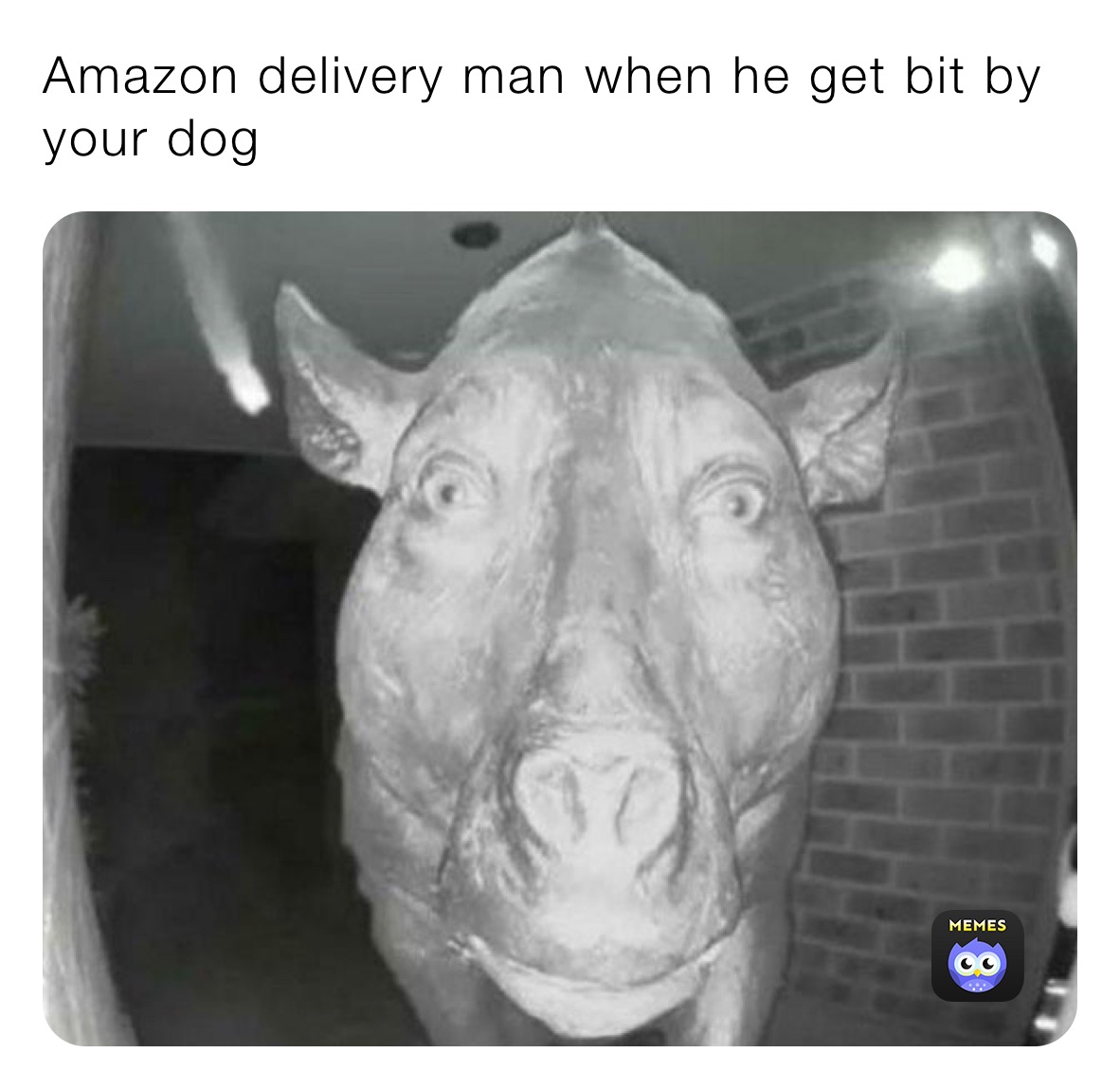 Amazon delivery man when he get bit by your dog