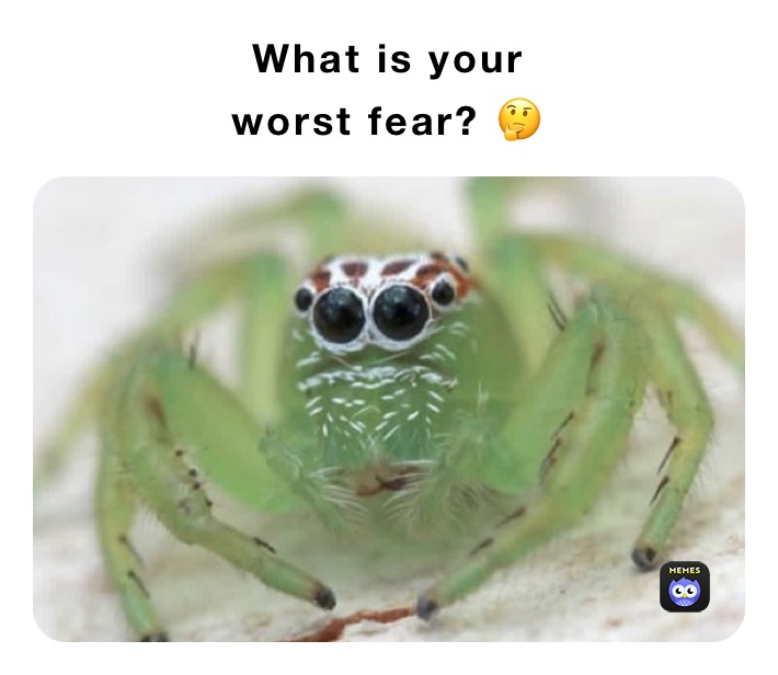 What is your
worst fear? 🤔