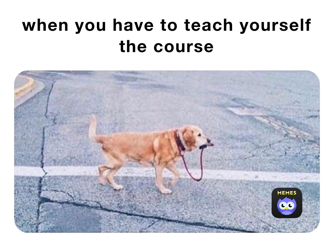 when you have to teach yourself the course 